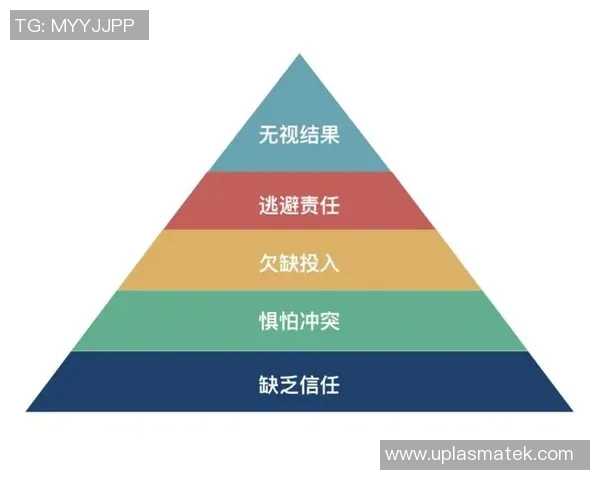 杭州排球队战术创新与团队协作的深度解析与展望